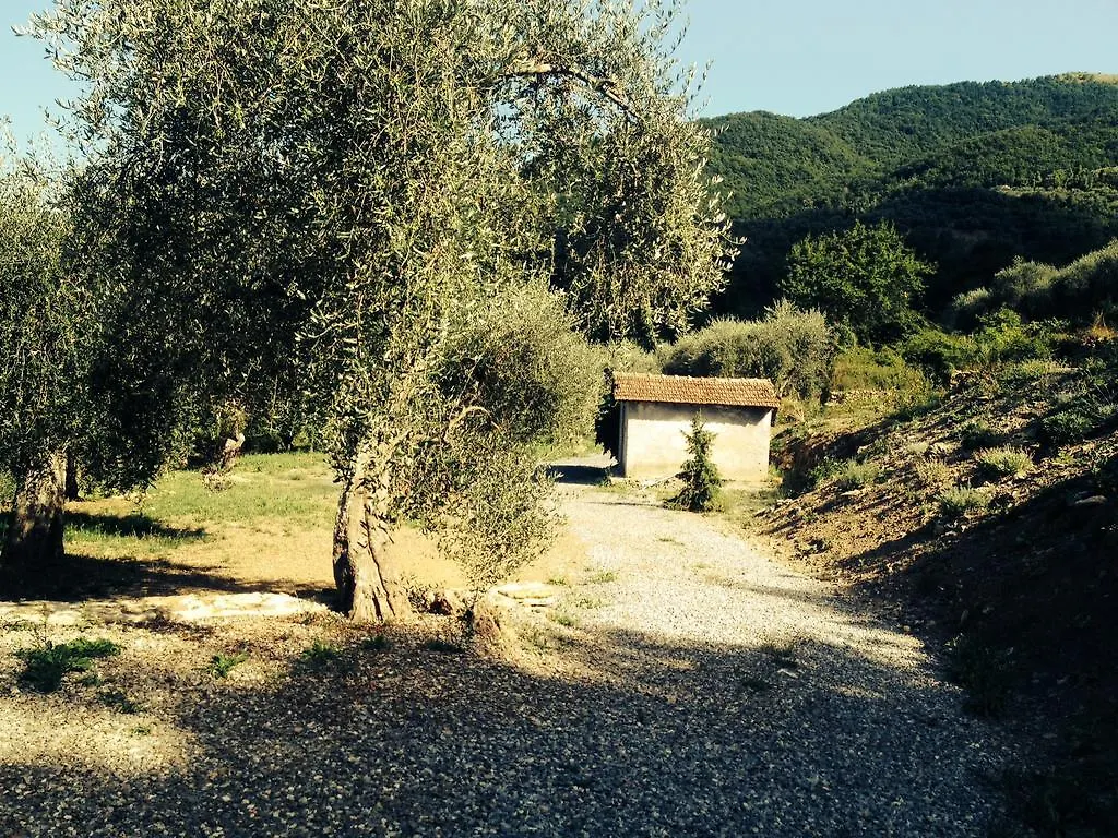Casa vacanze gli ulivi Borgomaro Italia