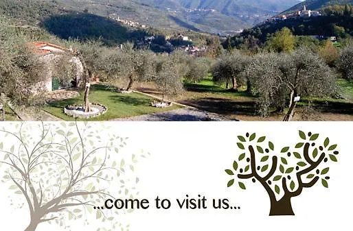 Casa vacanze gli ulivi Borgomaro